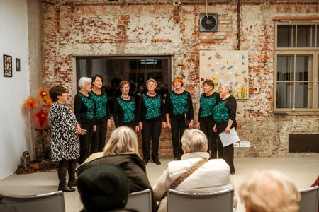 Klekljane čipke Rezke Kordež in Sekcije Lipa Ravne pri Društvu klekljaric Koroške  odprtje občasne razstave (16)